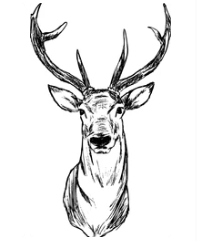 Deer Processing Basic Cut All Boneless Fritz S Custom Cutting Deer Processing Basic Cut All Boneless Fritz S Custom Cutting